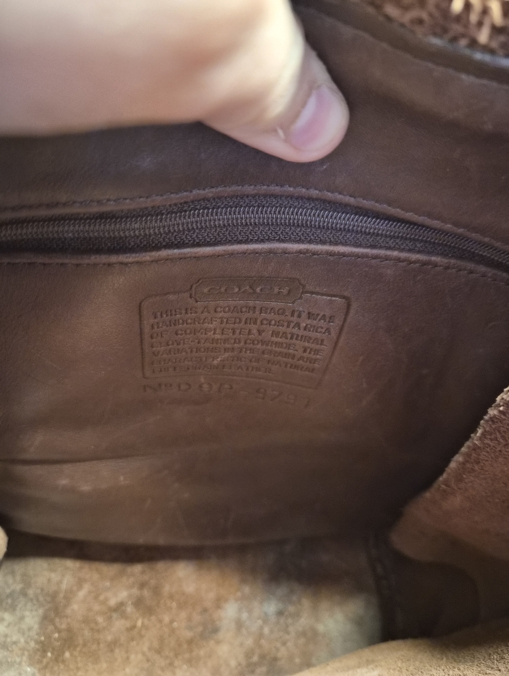 Coach - Picture 8 of 11